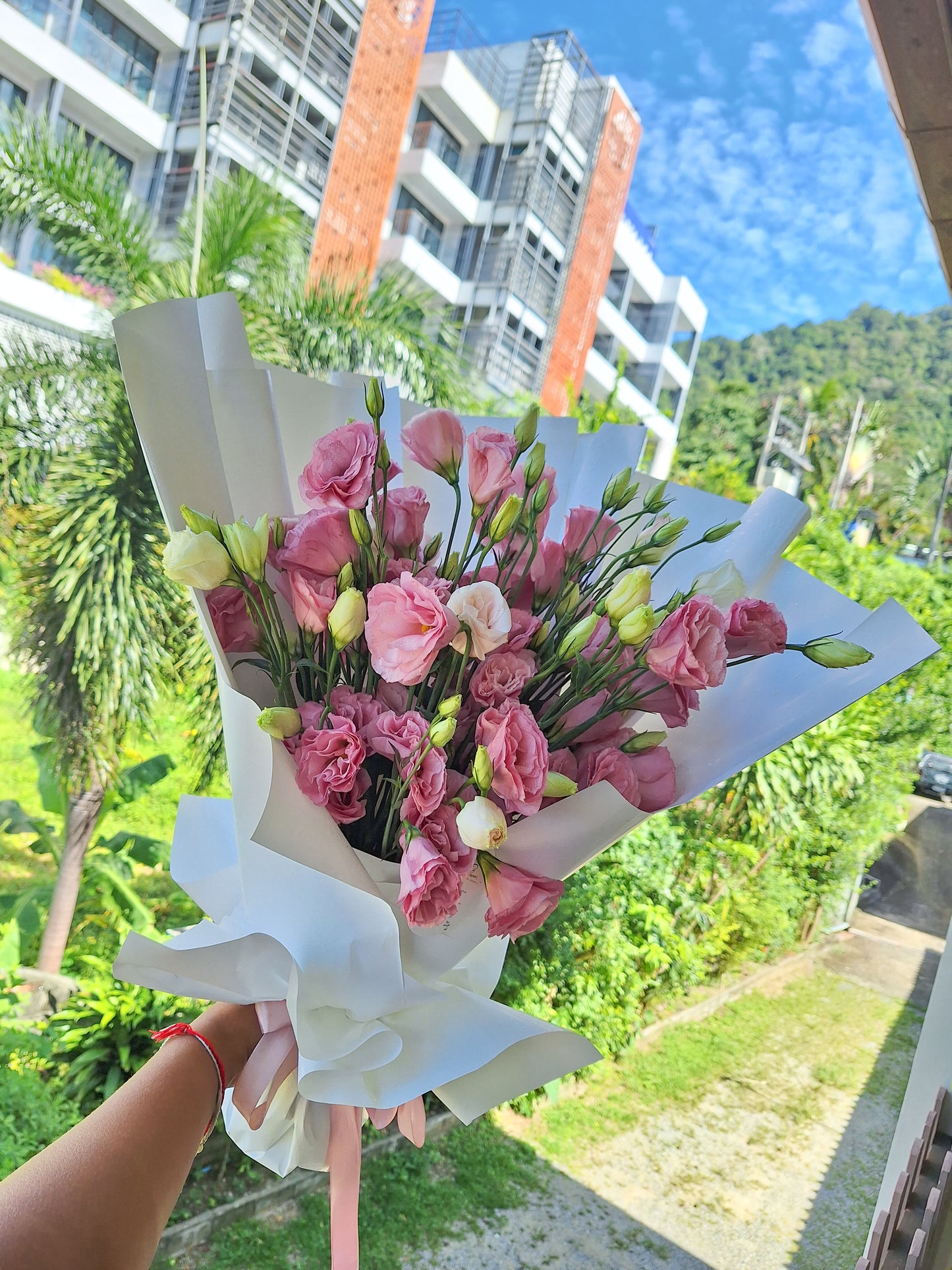 Pure Prairie Gentian
