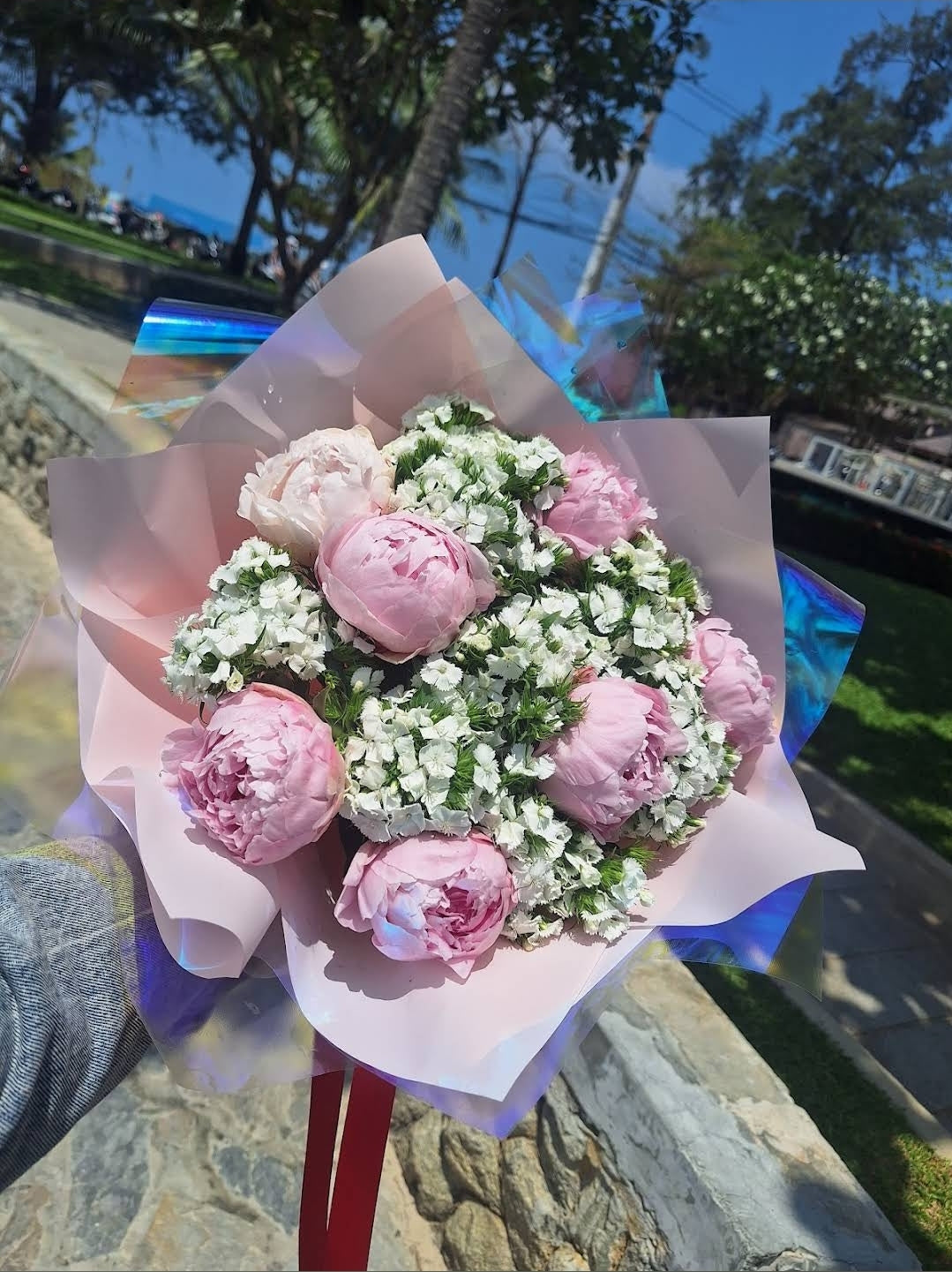 Wealth&Bashfulness Peony