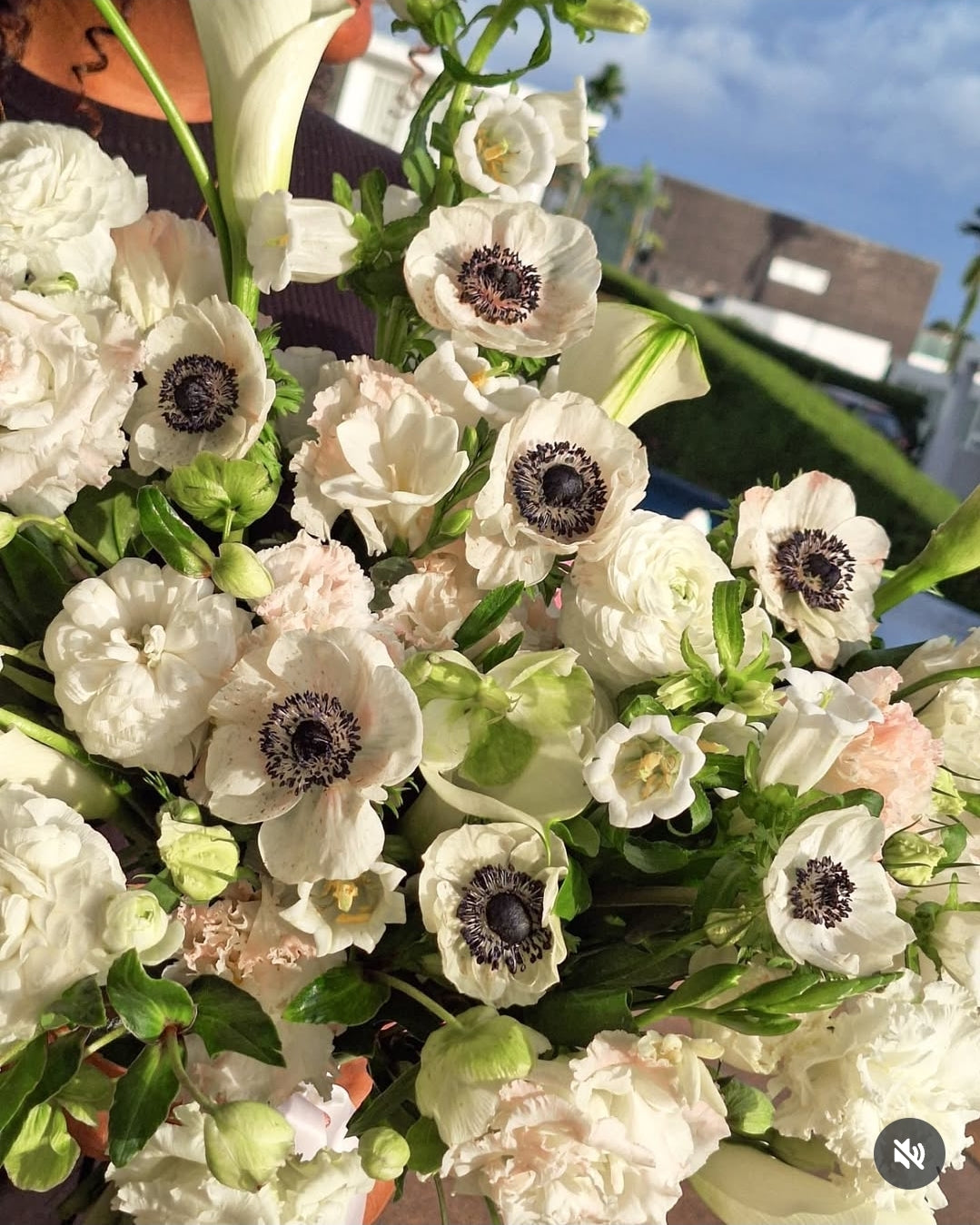 Bridal Rare Mix AneCara