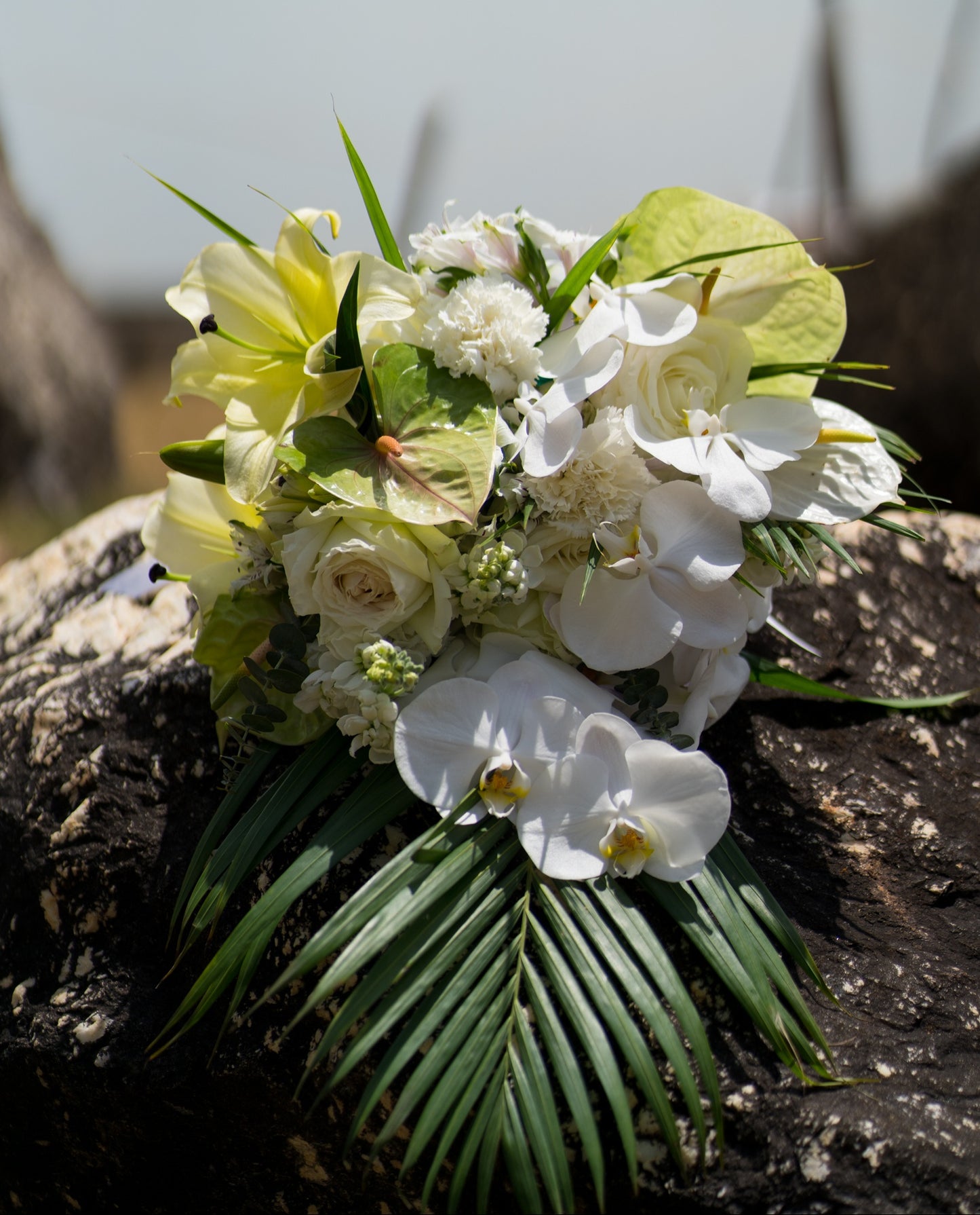 Bridal Tropical Verbe Signature
