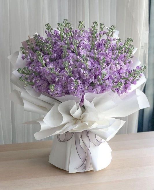 Garden Of happy life&Contented existence