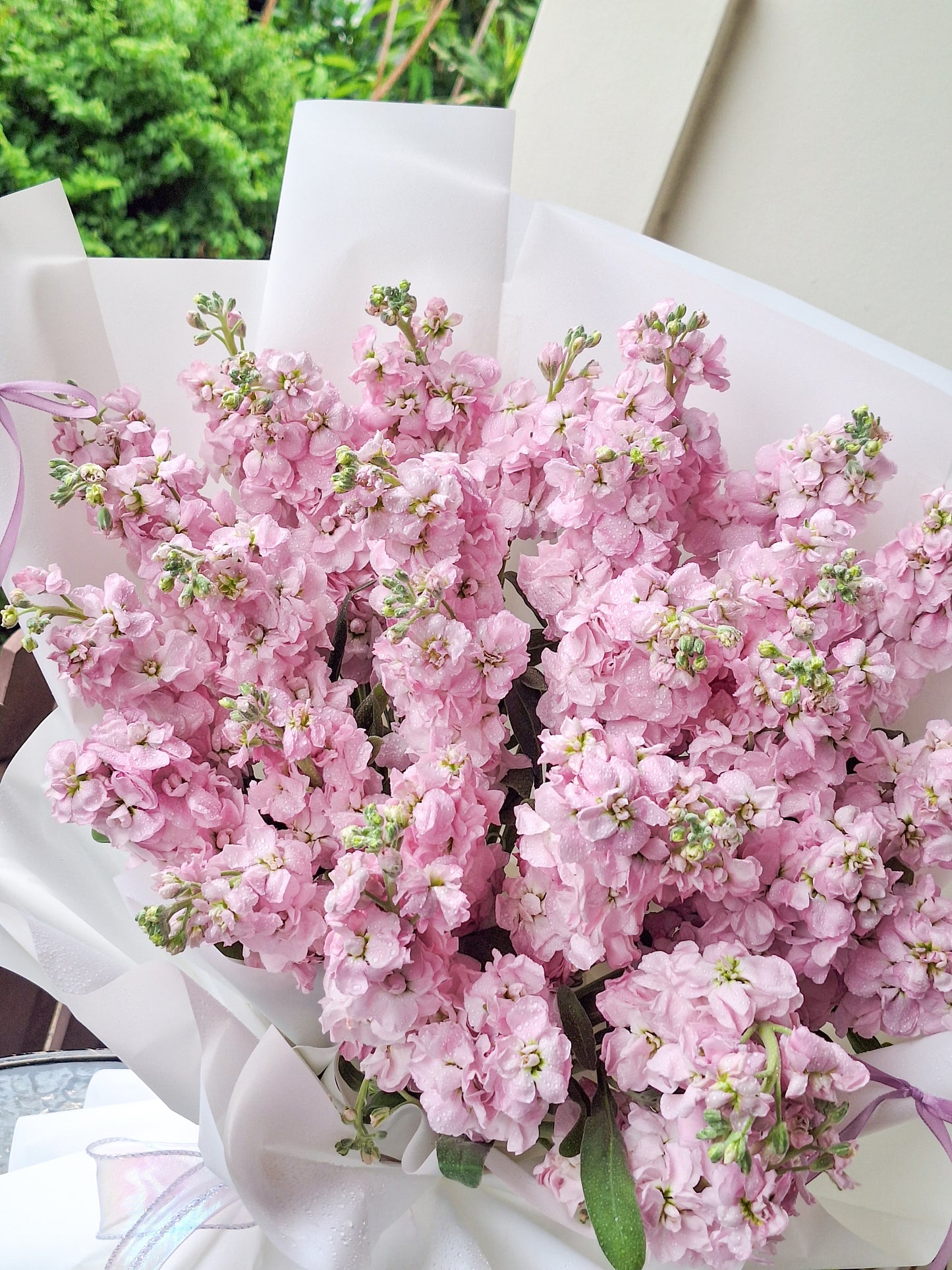 Garden Of happy life&Contented existence