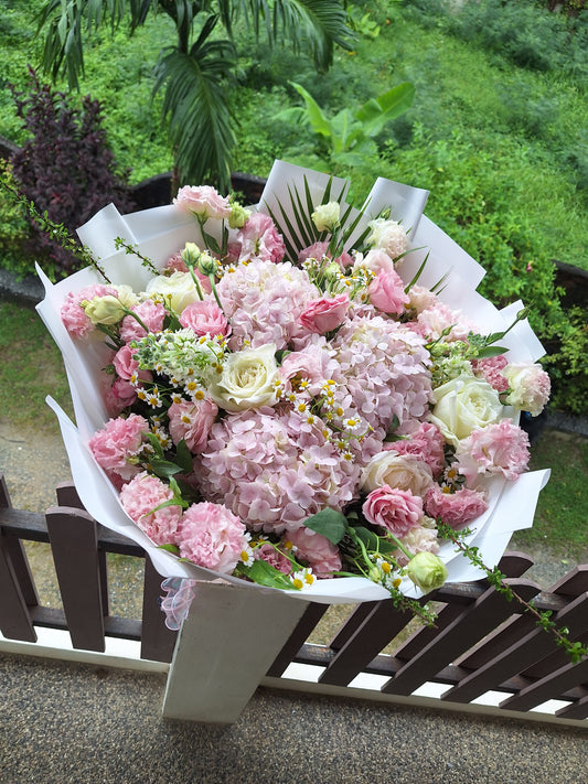 Pr - Pick Your Choices