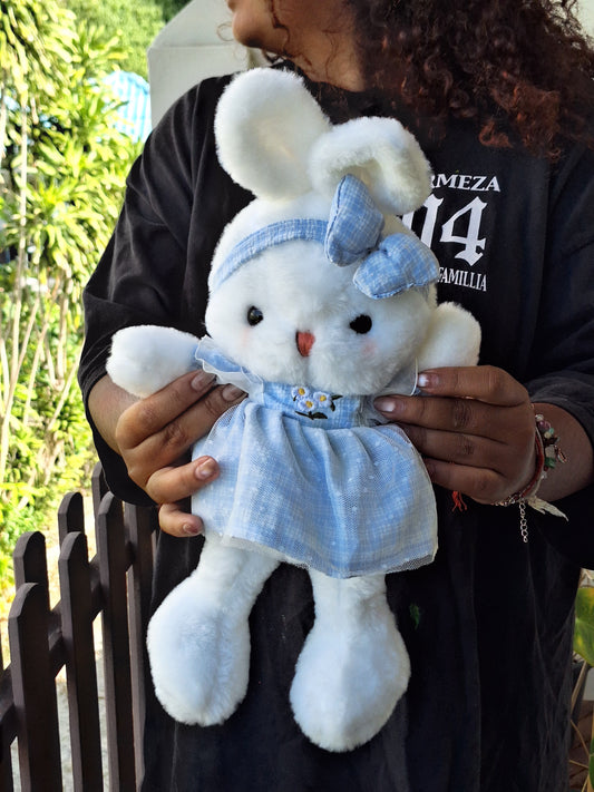 Blue Cutie Bunny