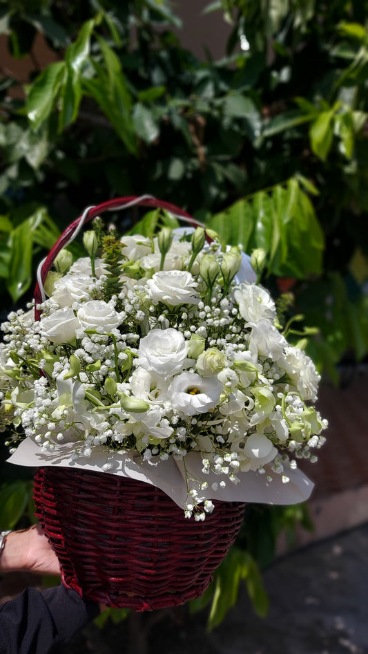 Refined Of Mature Charm