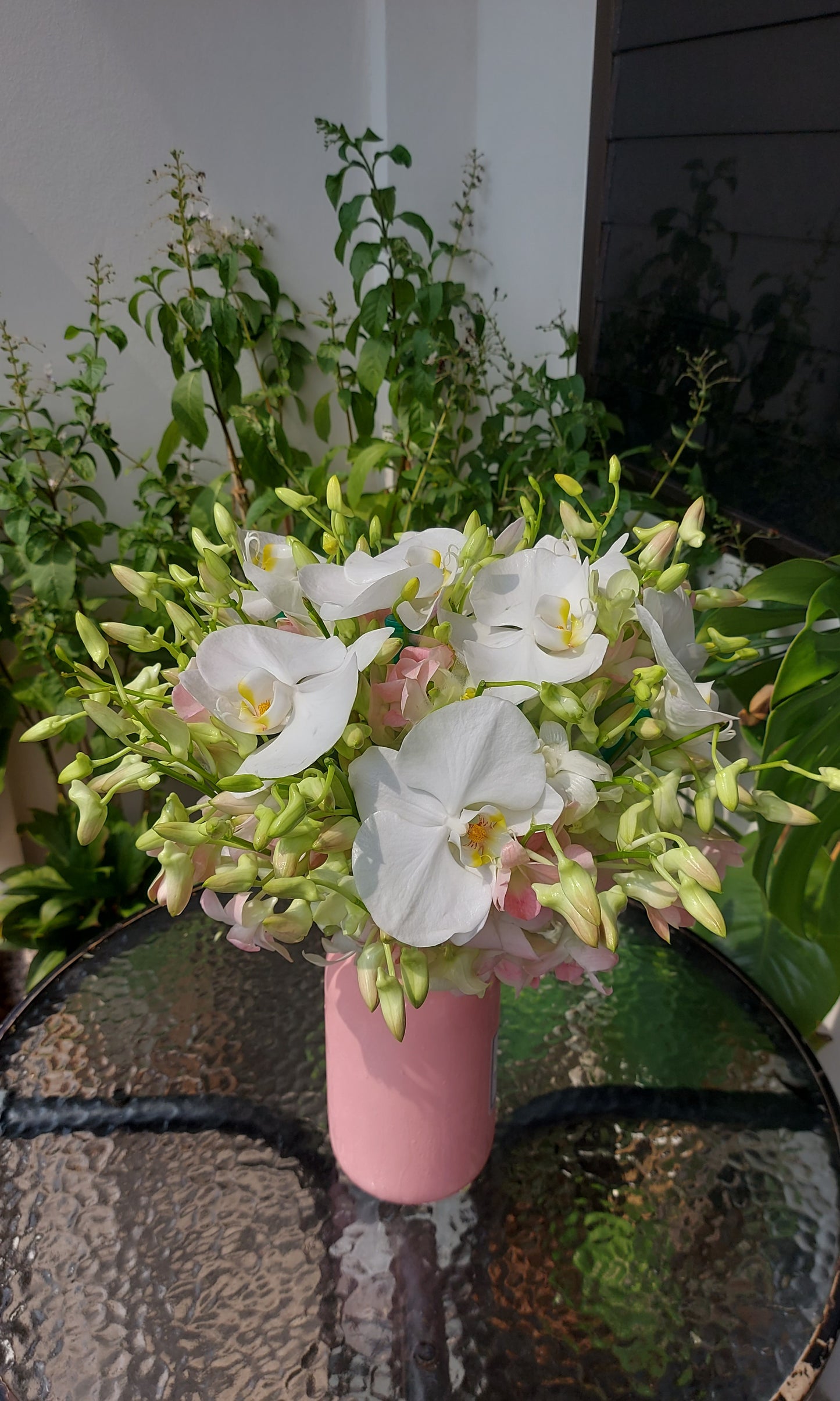 Playful Bridal Phalan