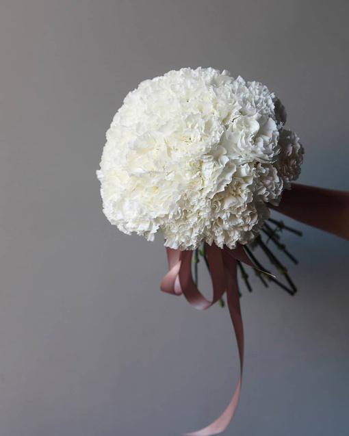 Bridal Carnation